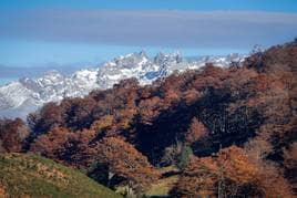 El Parque Natural de Redes, los Picos de Europa y la Reserva de la Biosfera de Ponga son los tres lugares por los que AsturiasXabaz traza sus rutas con esencia salvaje