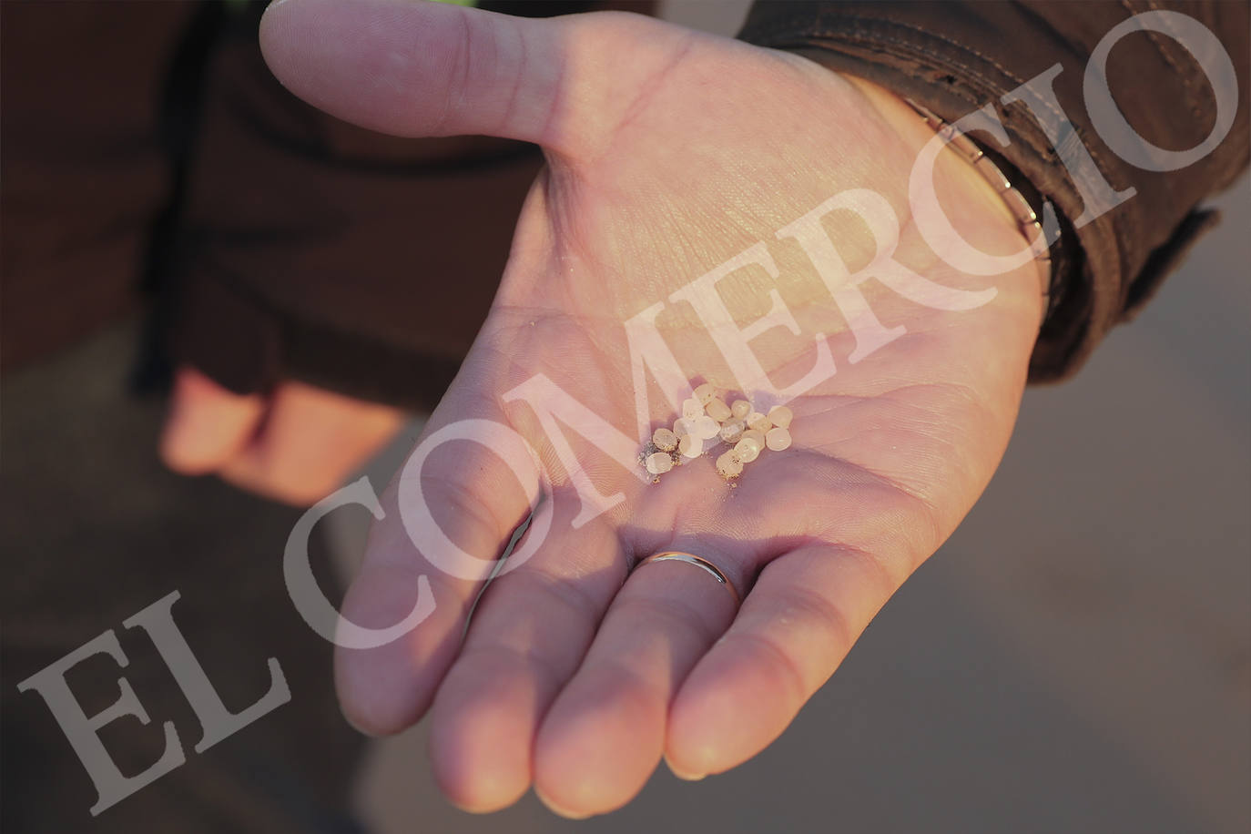 Los pélets de microplástico llegan a toda la costa de Asturias