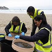 Bruselas informó en octubre sobre los potenciales riesgos de los pélets que han llegado a Asturias