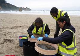 Labores de limpieza, este martes, de pélets en la playa del Aguilar, en Muros de Nalón.