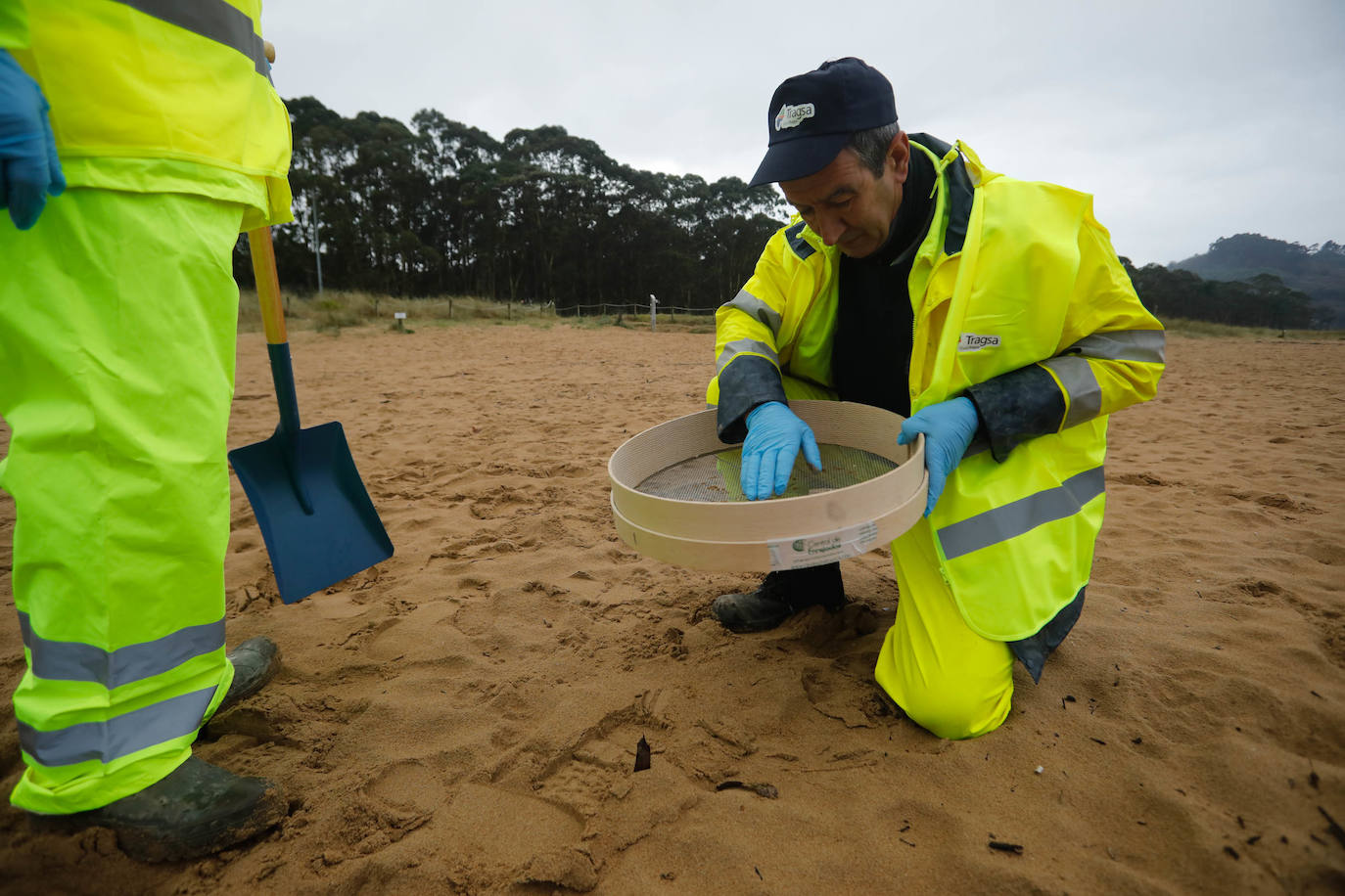 Asturias intensifica la limpieza de pélets de sus playas