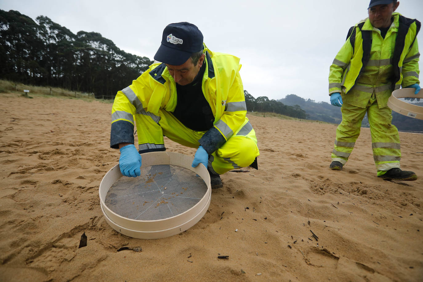 Asturias intensifica la limpieza de pélets de sus playas