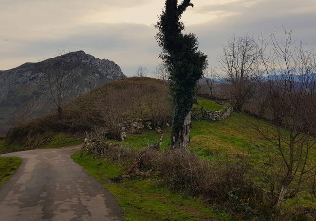 La pista a su paso por la majada Cantu Salgueru, con el Monsacro al fondo