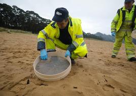 Recogida de pellets en la playa de Rodiles.