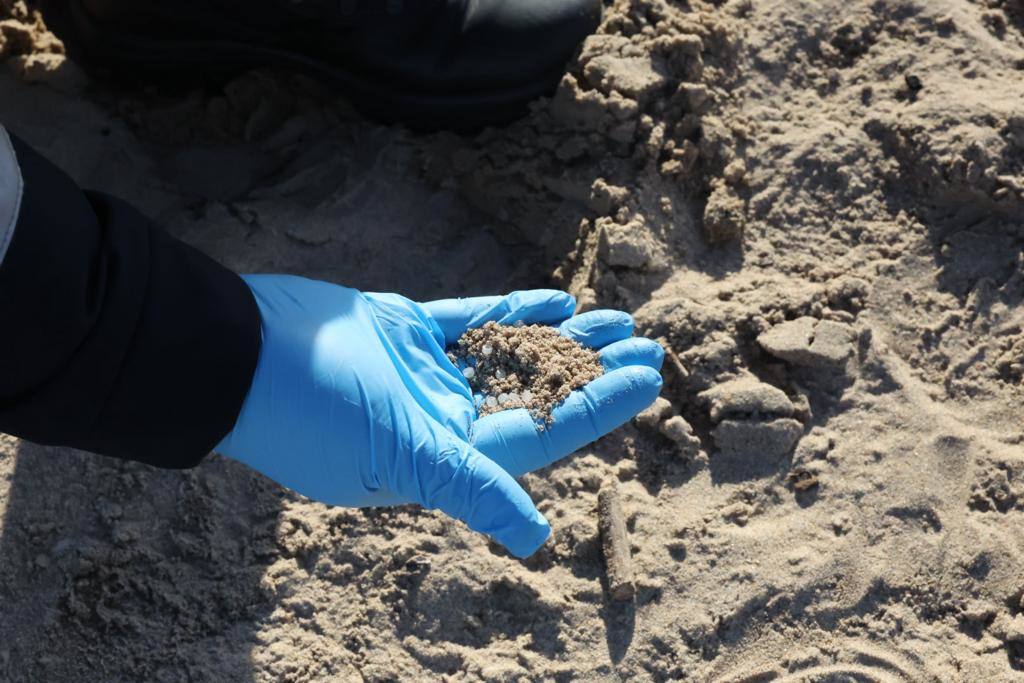 Manos solidarias para retirar los pélets de las playas asturianas