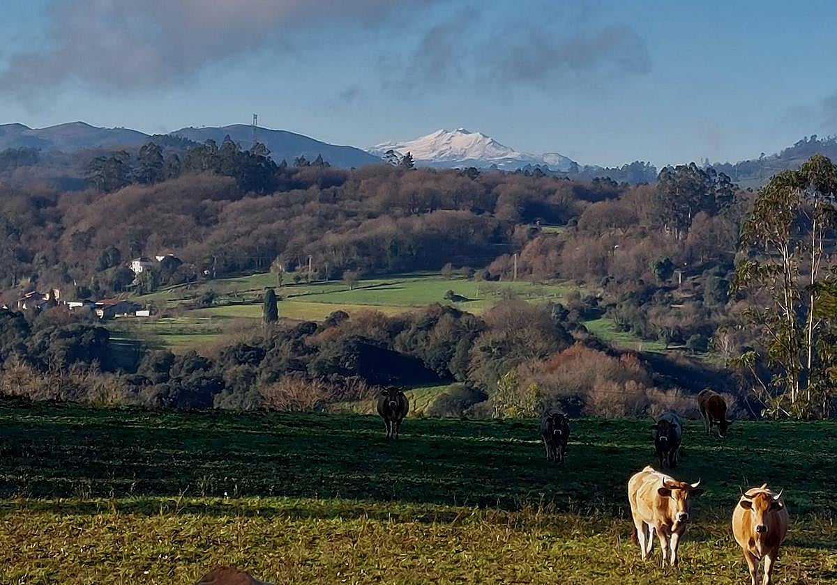 Vistas hacia el pico Hurro desde la Ruta de los Lanceros, en el concejo de Les Regueres