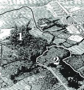 Terrenos del Botánico, en 1999.