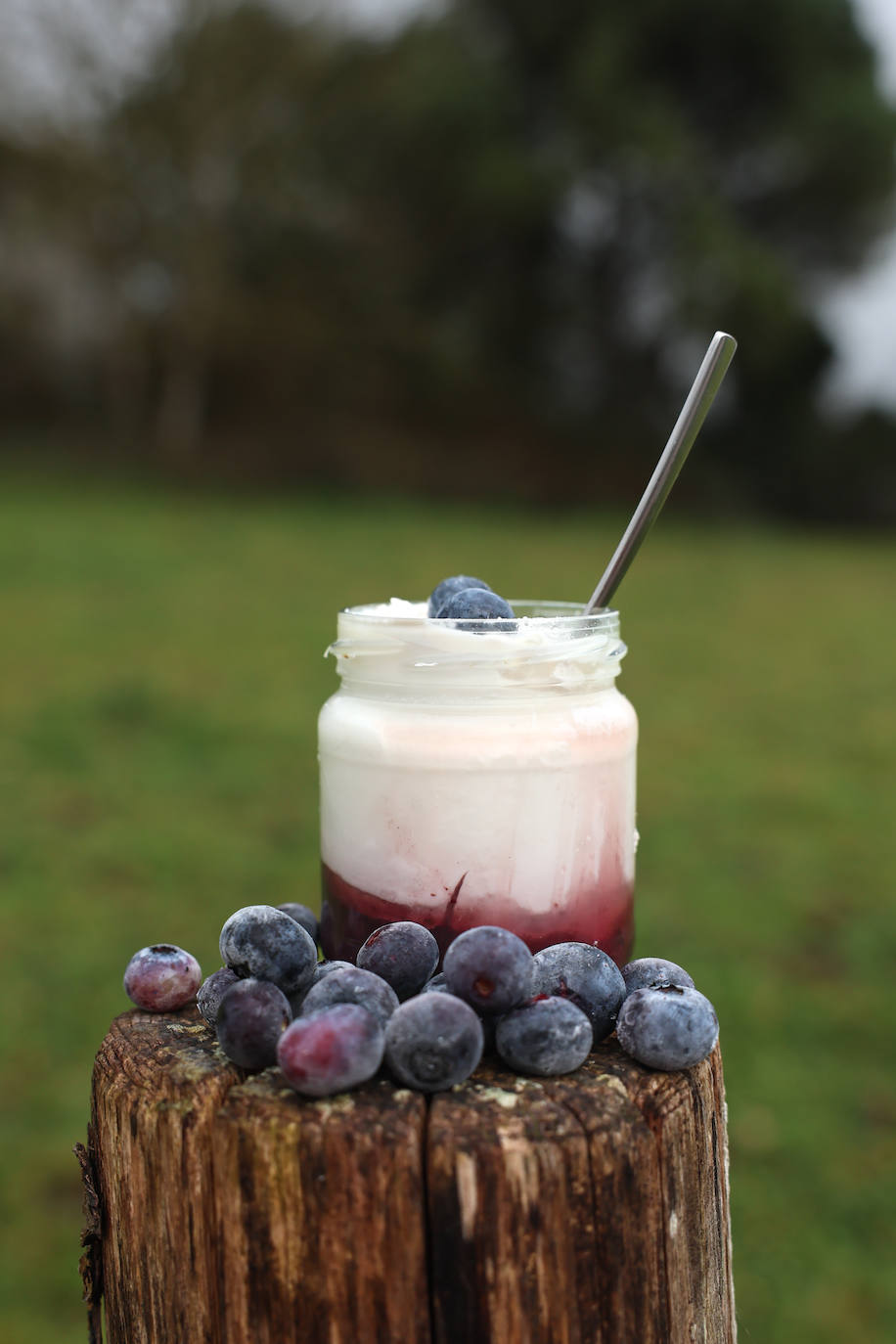 Yogur con puré de arándanos, elaborado en El Tayuelu.