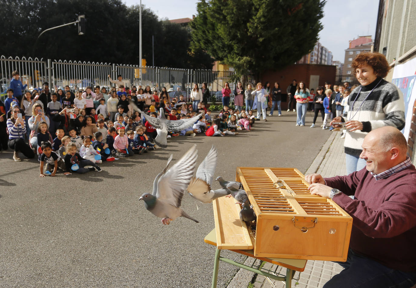 Así celebraron los colegios de Gijón el Día de la Paz