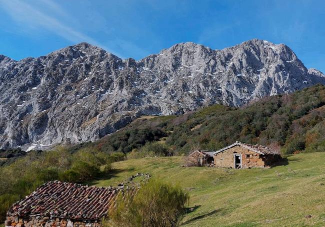 Braña la Cardosina