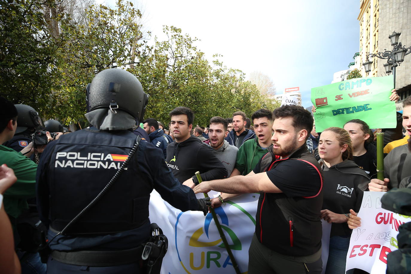 Tractorada en Asturias: las imágenes que deja la protesta del campo asturiano