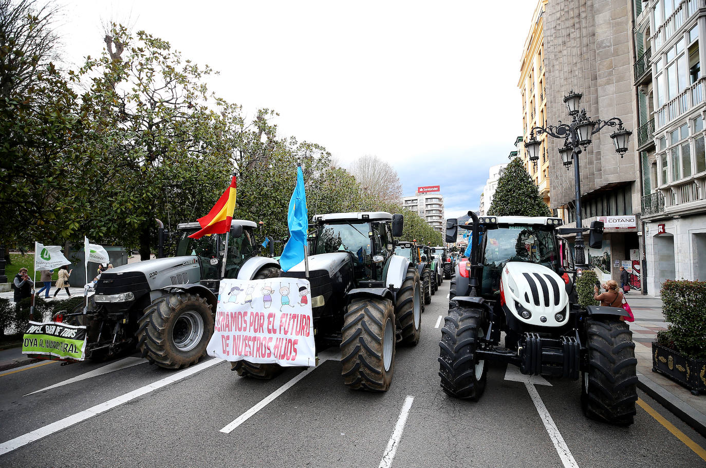 Tractorada en Asturias: las imágenes que deja la protesta del campo asturiano