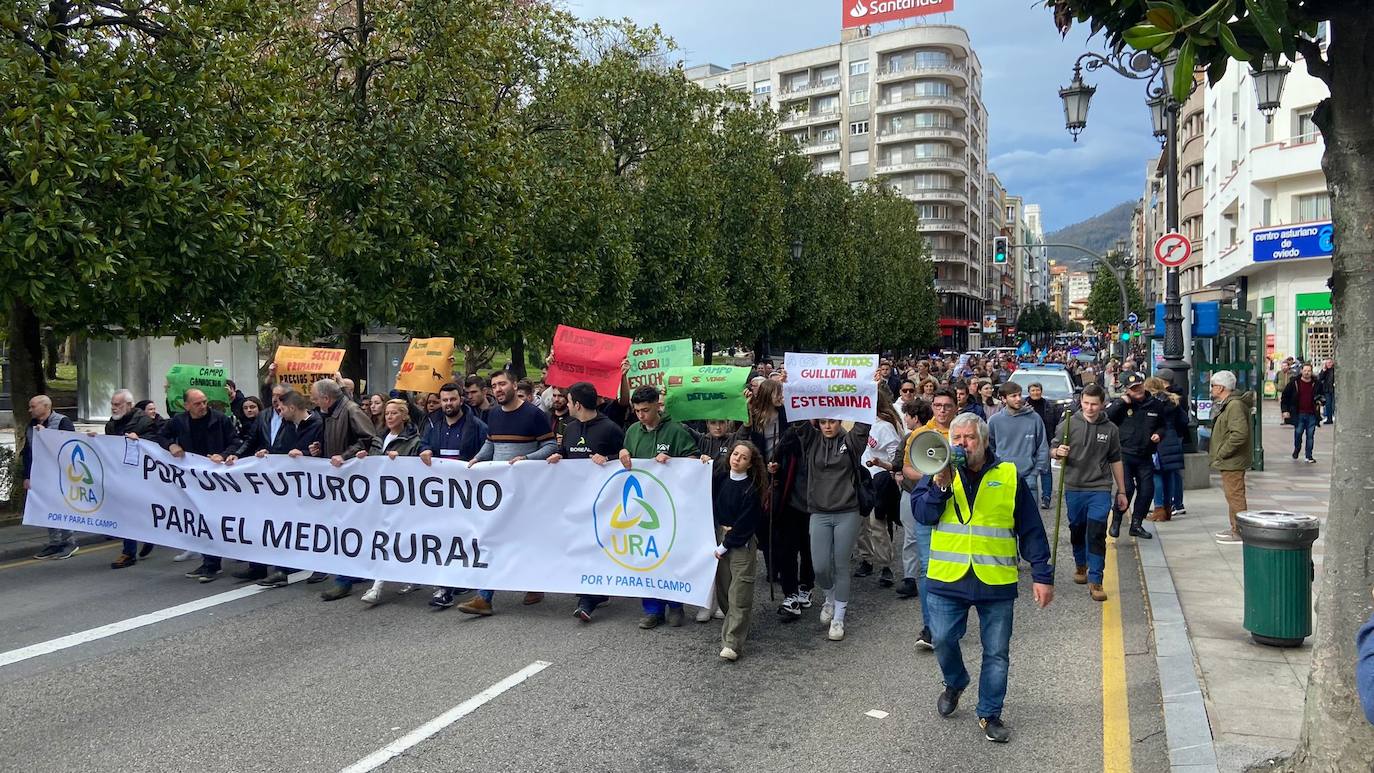 Tractorada en Asturias: las imágenes que deja la protesta del campo asturiano