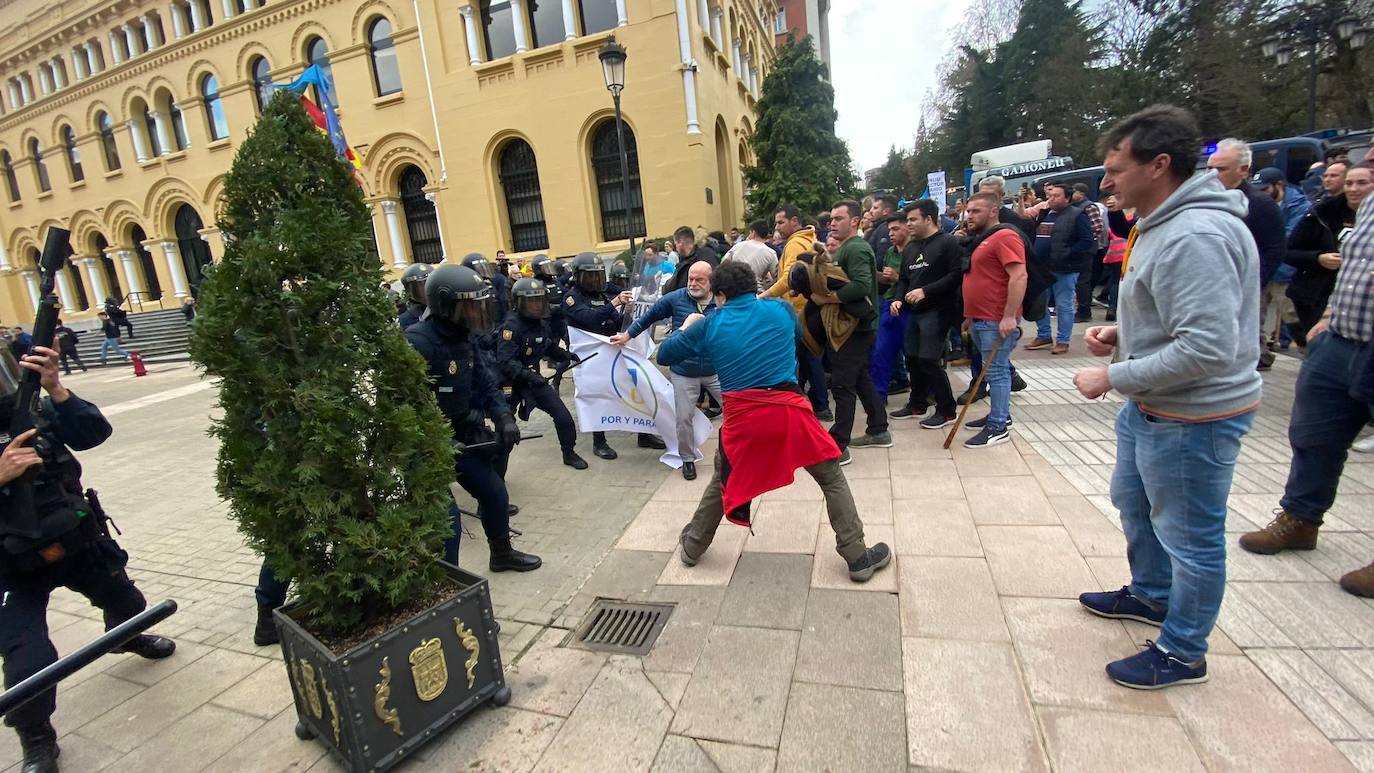 Tractorada en Asturias: las imágenes que deja la protesta del campo asturiano