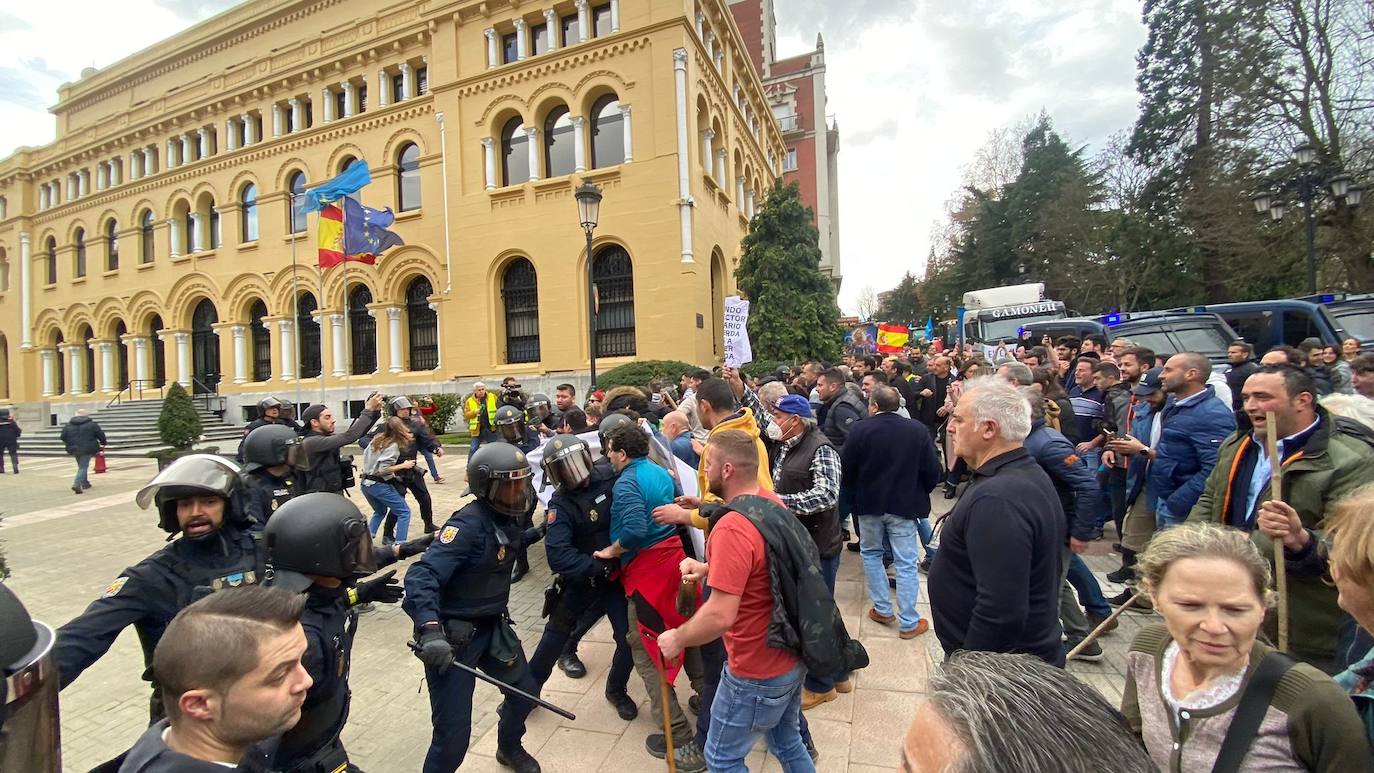 Tractorada en Asturias: las imágenes que deja la protesta del campo asturiano