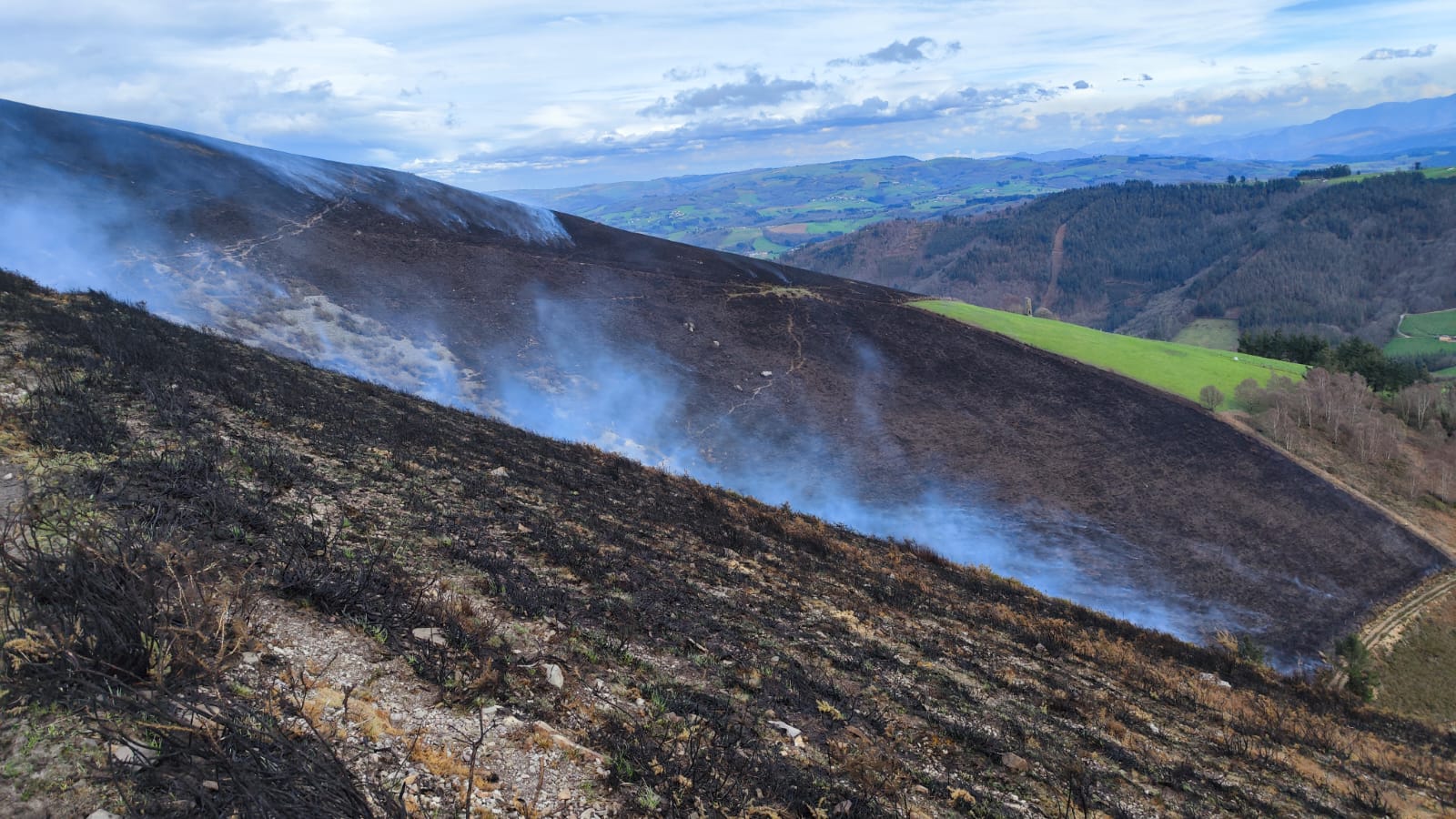 Tierra quemada en Tineo.