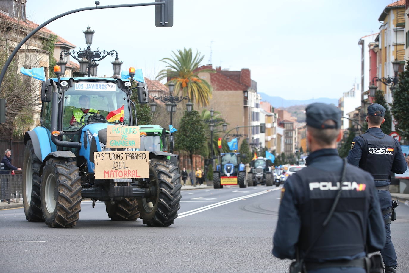Tractorada en Asturias: las imágenes que deja la protesta del campo asturiano
