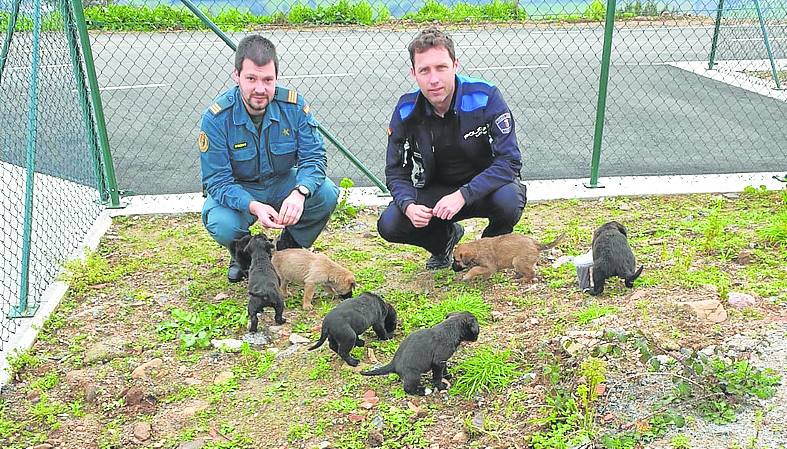 La Policía Local y el Seprona han colaborado en la búsqueda.