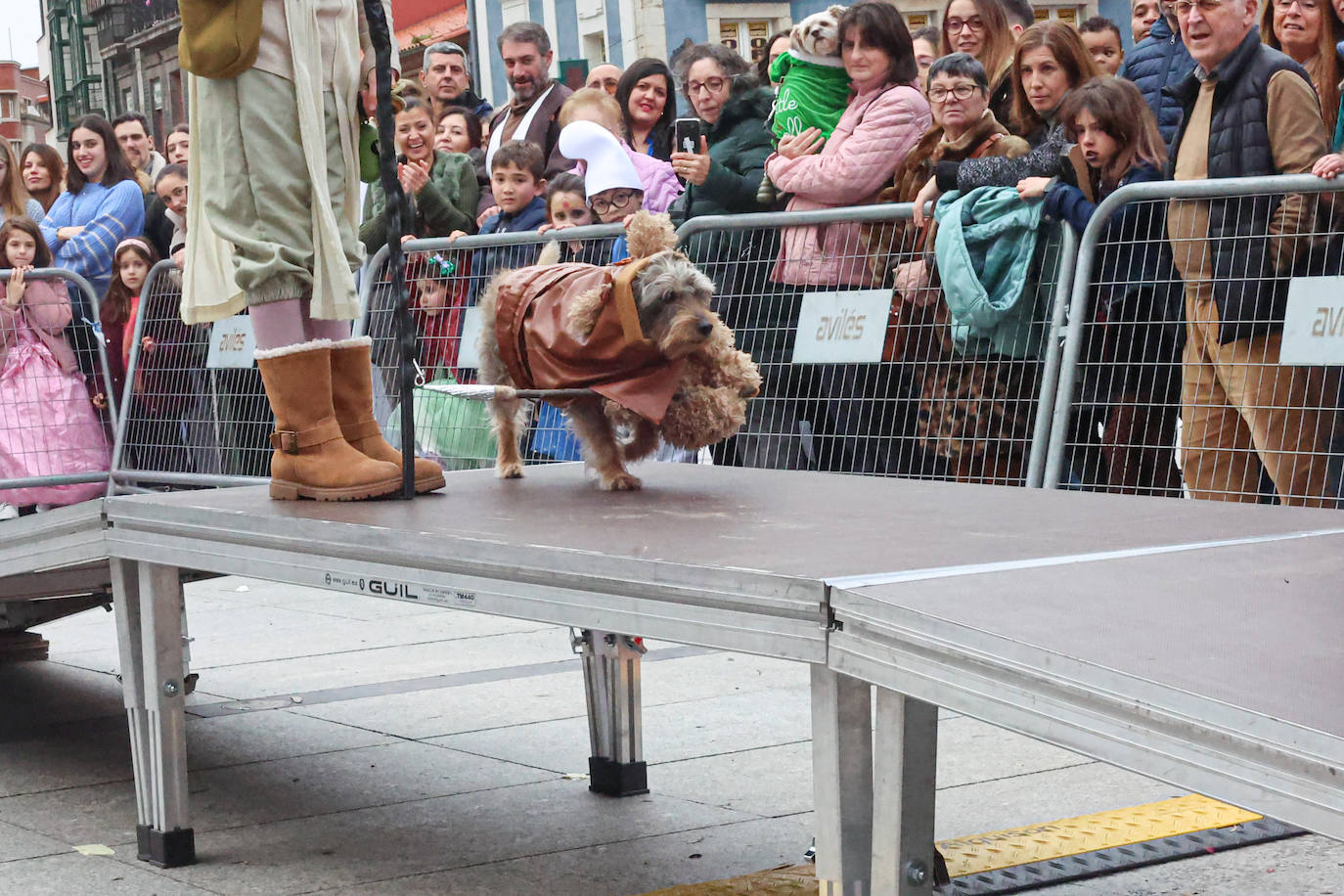 Las mascotas se disfrazan en Avilés