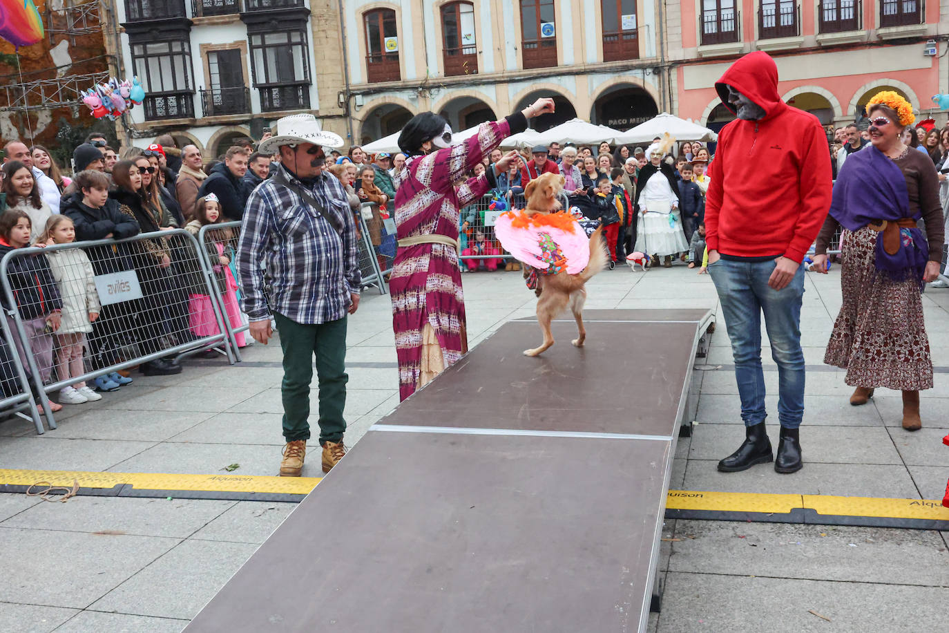 Las mascotas se disfrazan en Avilés