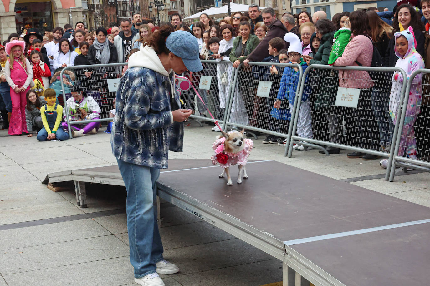 Las mascotas se disfrazan en Avilés