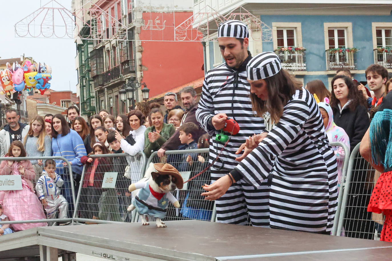 Las mascotas se disfrazan en Avilés