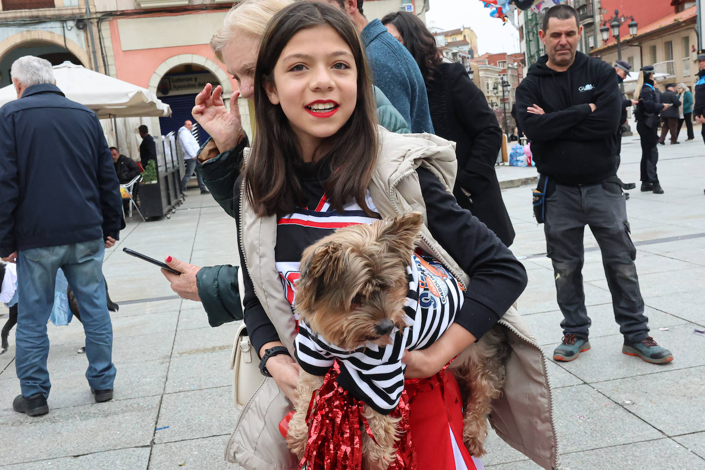 Las mascotas se disfrazan en Avilés