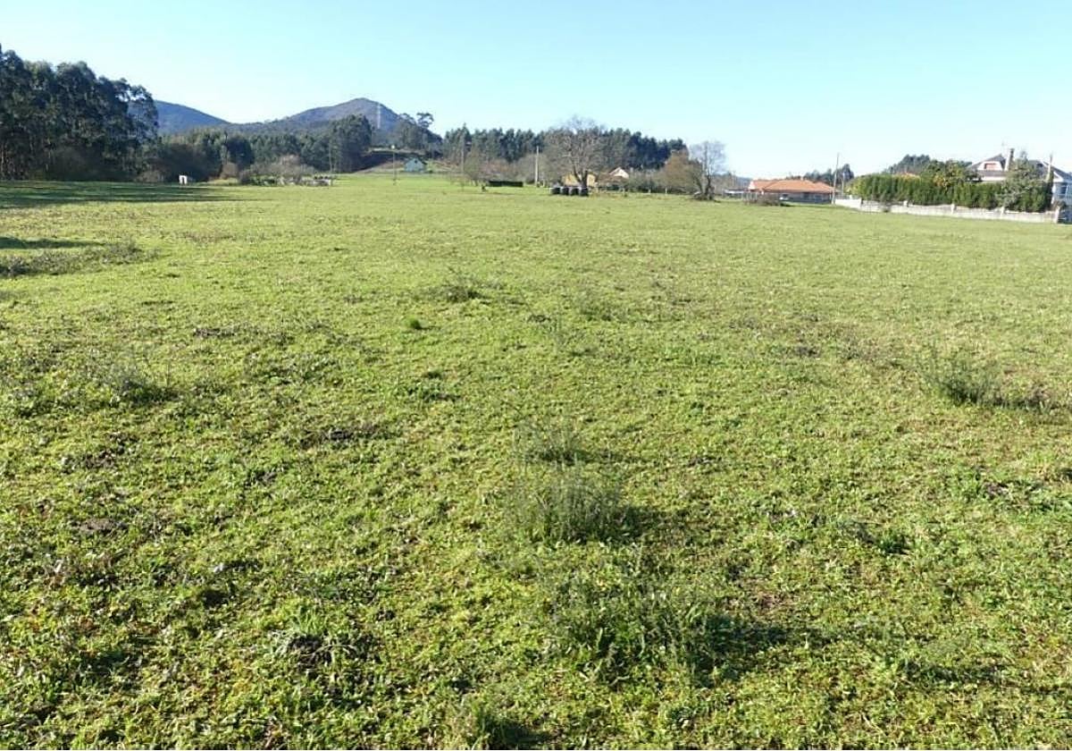 La futura urbanización se construiría en un terreno llano en Grandellana.