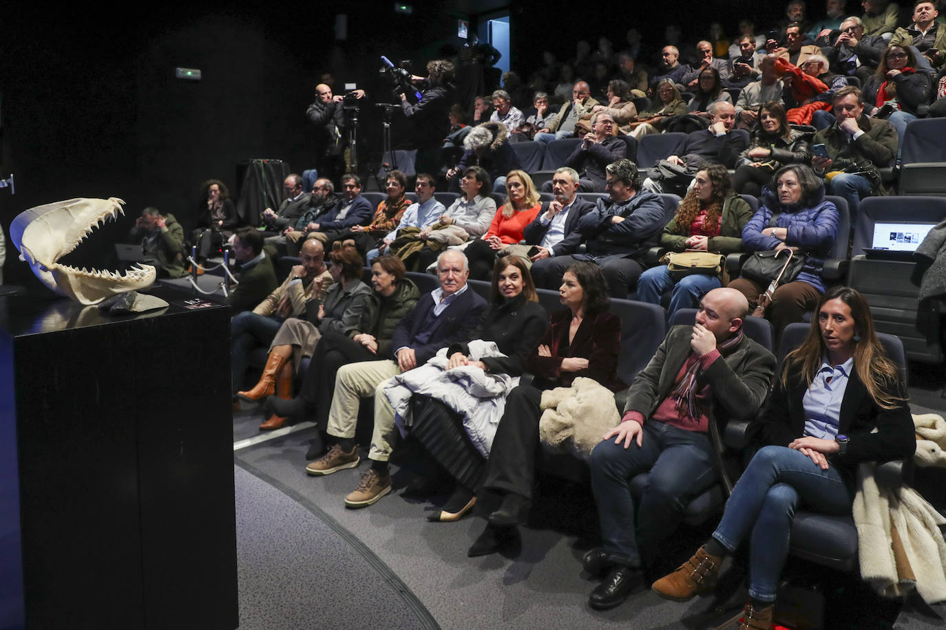 Así es &#039;Tiburones&#039;, la nueva exposición del Acuario de Gijón