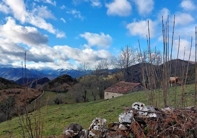 Braña Espines, uno de esos lugares con magia y sortilegio que se visitan en esta ruta a Peña Manteca