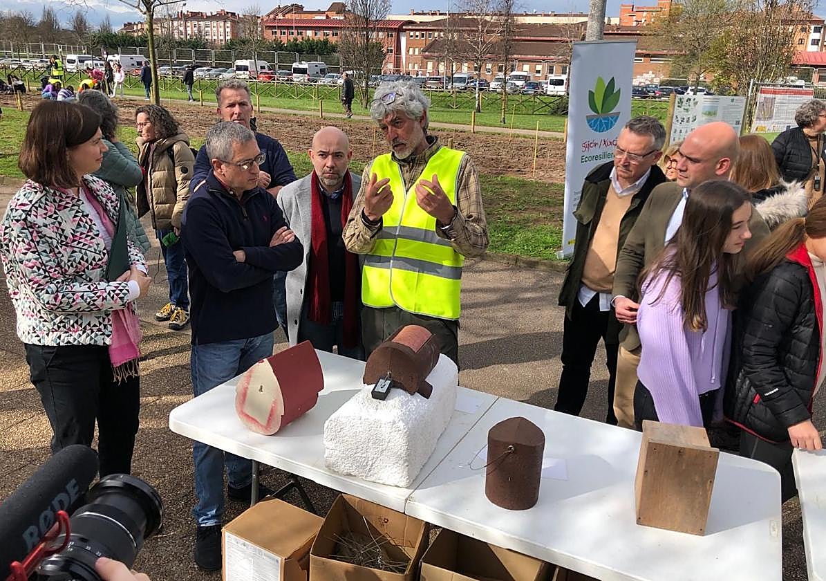 Hugo Morán, secretario de Estado de Medio Ambiente, en la plantación minibosques en Gijón.