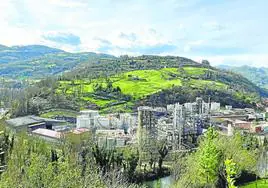 Las instalaciones de Química del Nalón, en Trubia.