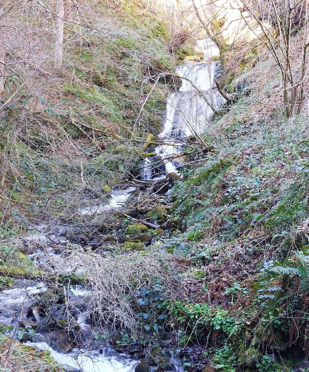 Imagen secundaria 2 - El bosque, las brañas, los regueros y ríos y el entorno rural cuidado acompañan en esta ruta por los alrededores de la cascada de Xurbeo 