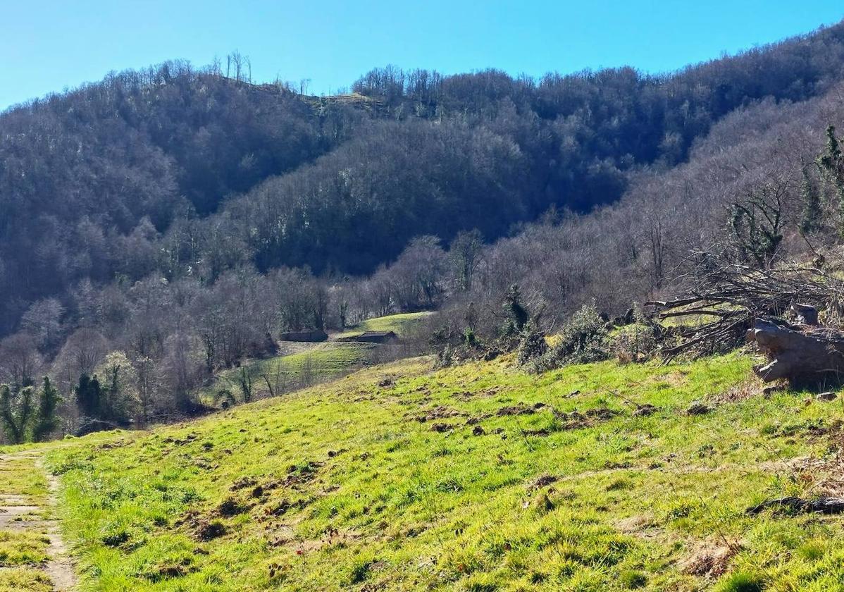 Imagen principal - El bosque, las brañas, los regueros y ríos y el entorno rural cuidado acompañan en esta ruta por los alrededores de la cascada de Xurbeo 