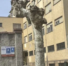 Entrada del colegio sotrondrín convertido en centro de acogida.