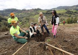 430 nuevos árboles para reforestar La Pedrera