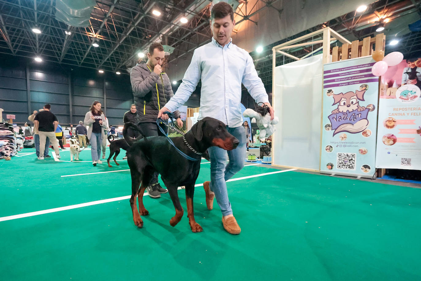 Las mascotas de Gijón dejan su huella en busca de la adopción