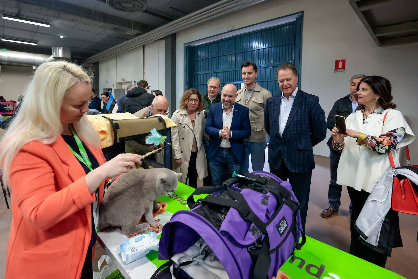 Las mascotas de Gijón dejan su huella en busca de la adopción