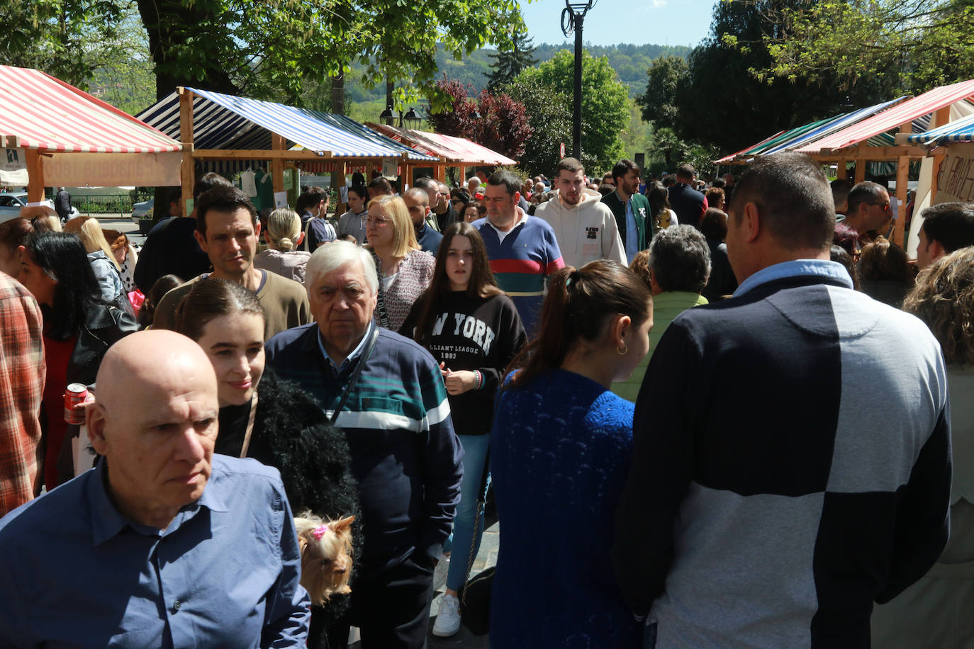 El buen tiempo anima la Primera Flor de Grado