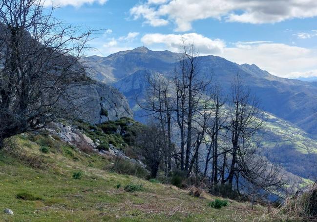 Collada Ordiales, antesala de la cumbre del pico Mayor con buenas vistas al Gamoniteiru