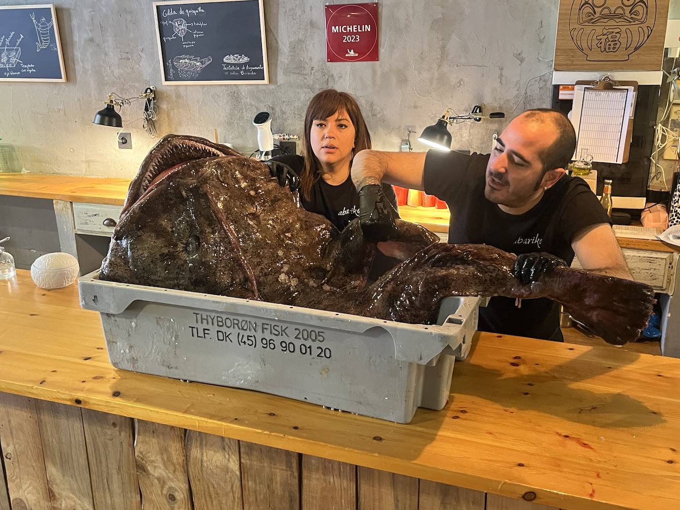 Así es el espectacular pixín de 55 kilos que se podrá degustar en Gijón