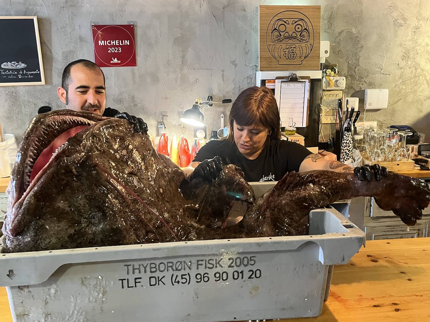 Así es el espectacular pixín de 55 kilos que se podrá degustar en Gijón