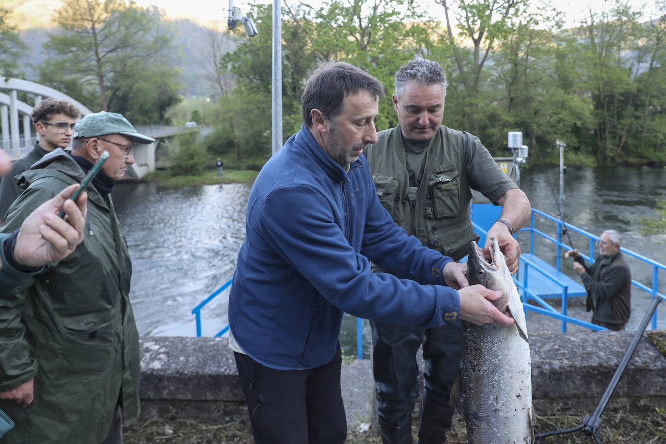 El campanu de Asturias sale en el río Narcea