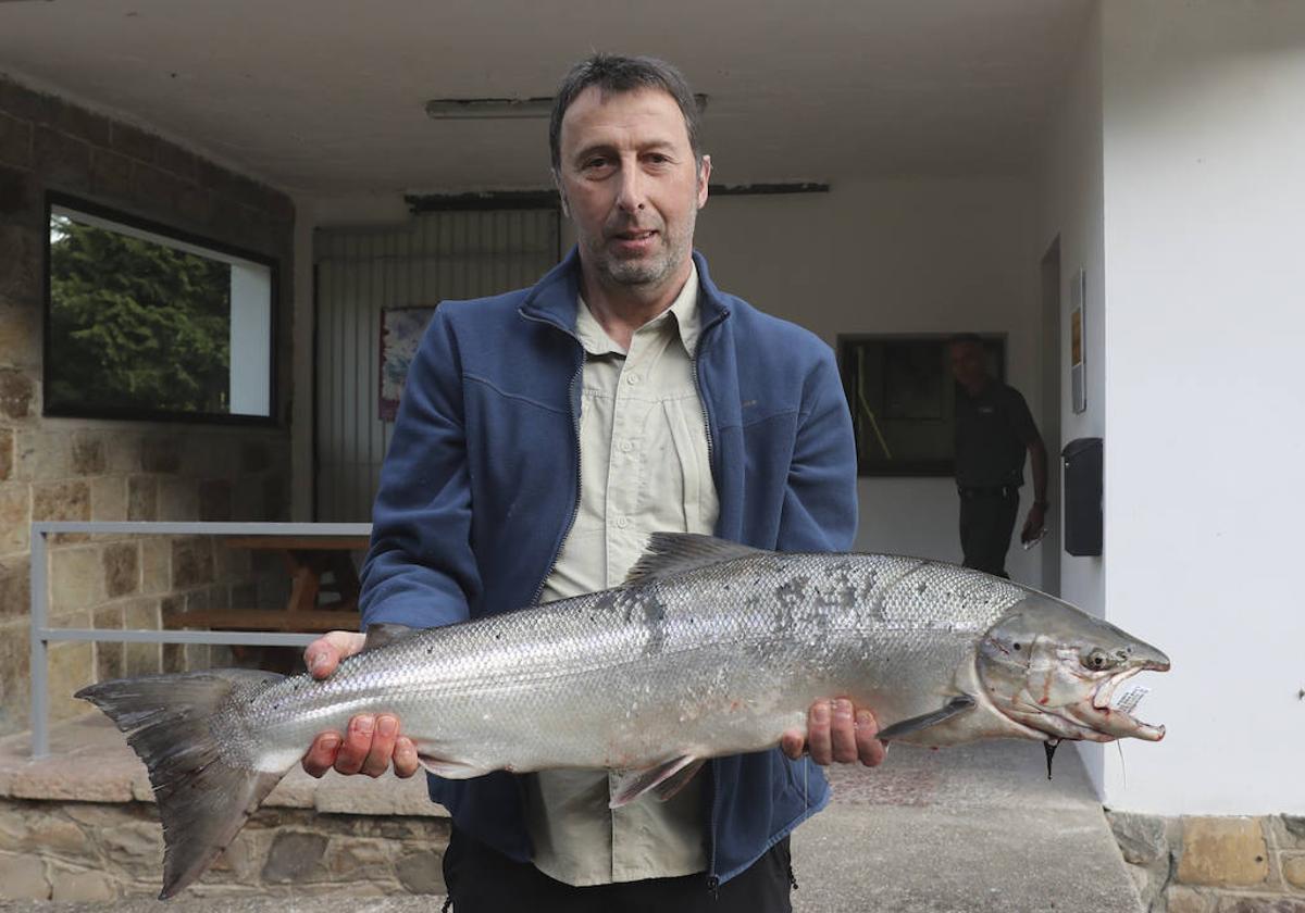 El campanu de Asturias sale en el río Narcea