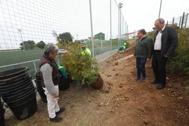 El concejal de Medio Ambiente y el presidente del Navarro plantaron los primeros árboles en Tabiella.