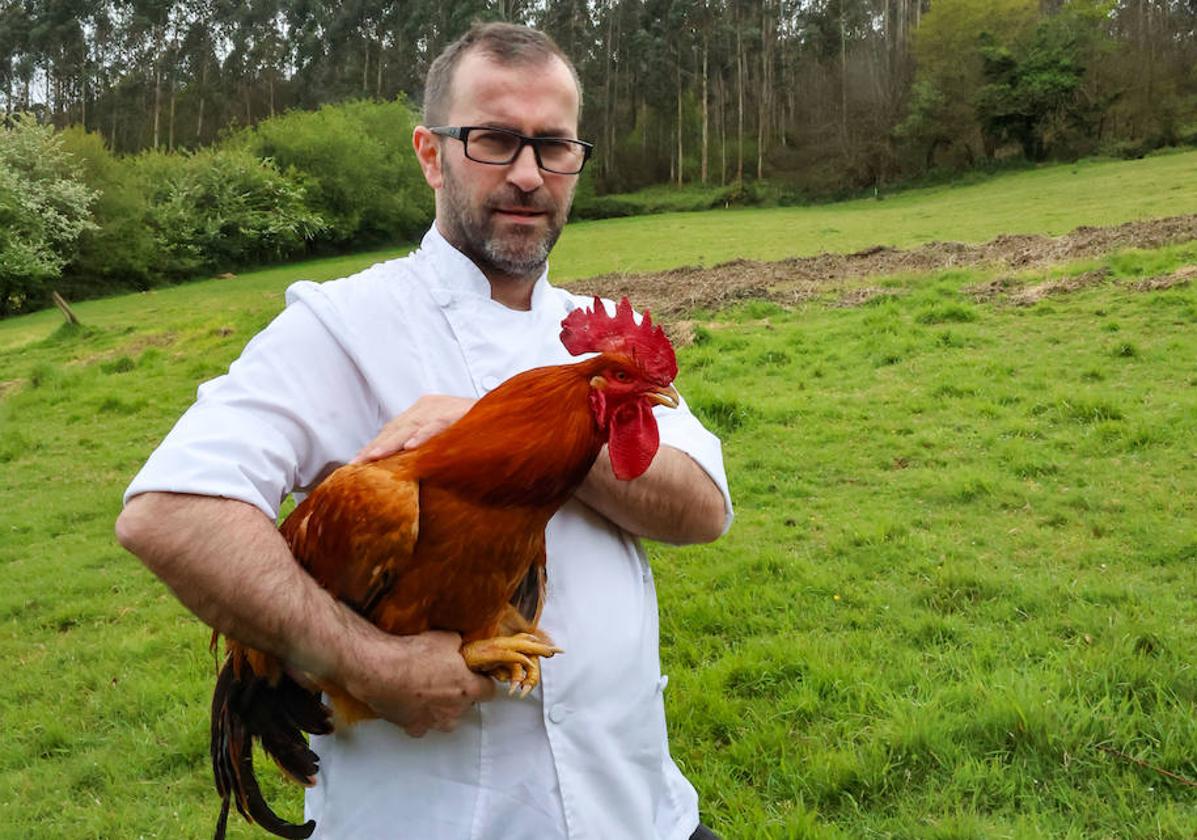 Rural. El cocinero del restaurante Arraigo, Ángel Martínez de Marigorta, sostiene un pitu de caleya en su casería de Llanera.