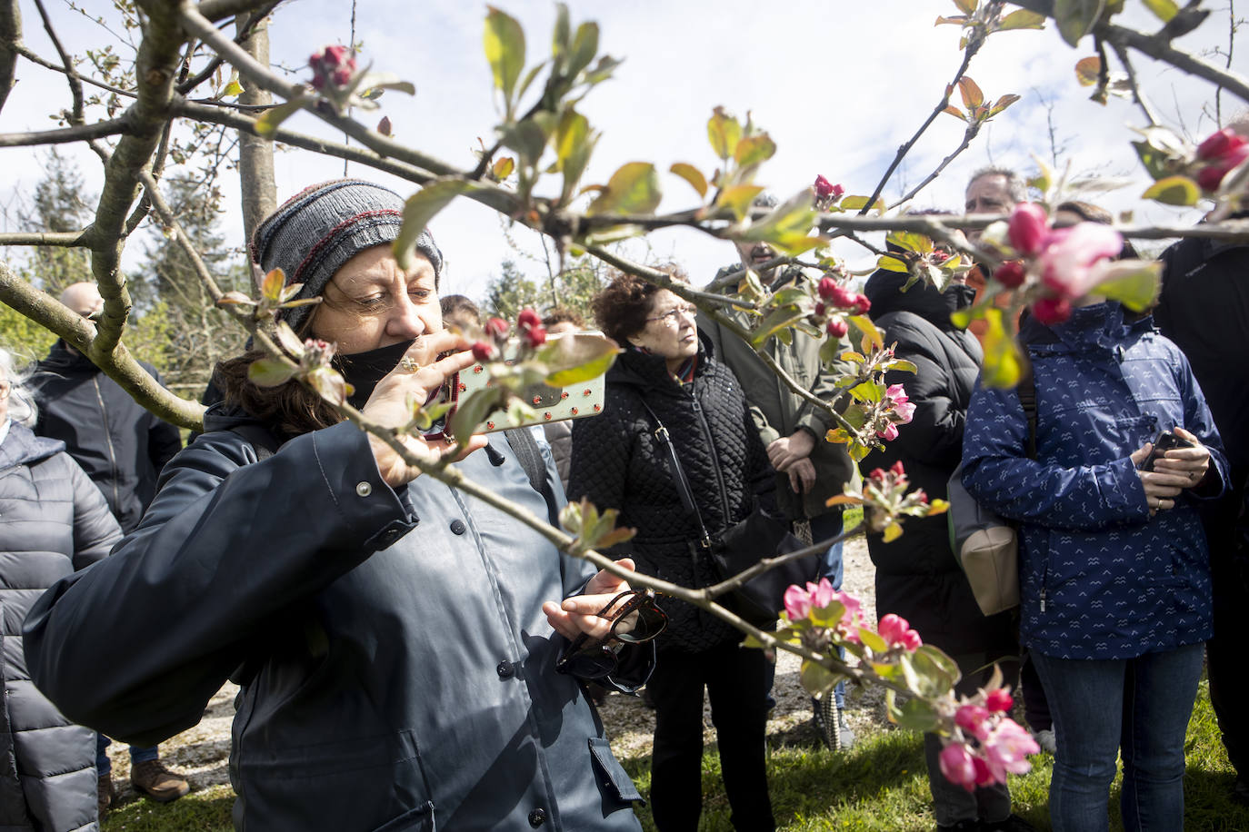 Un paseo entre los manzanos en flor de Asturias