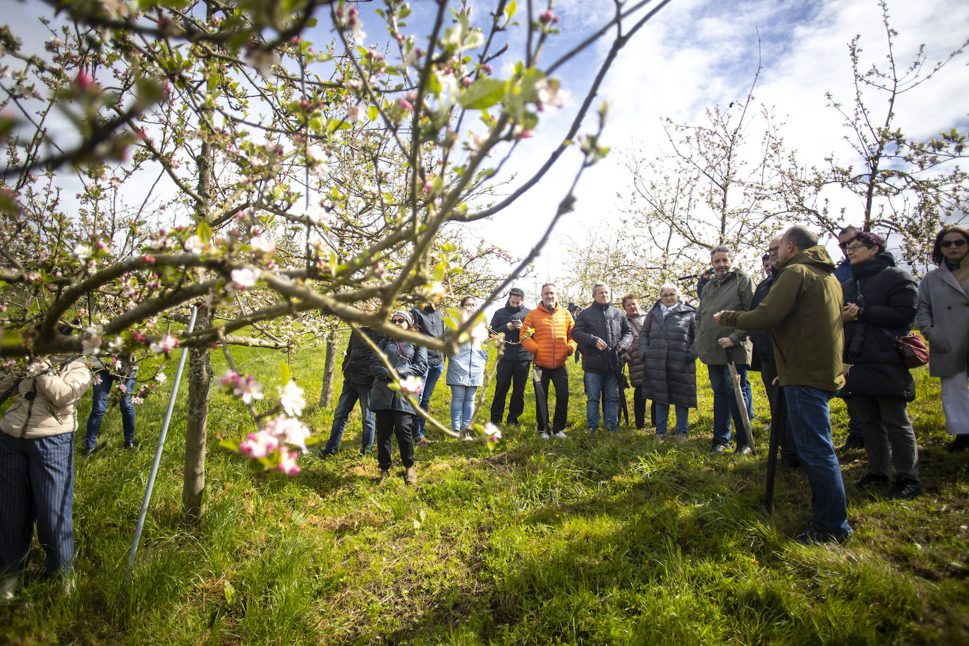 Un paseo entre los manzanos en flor de Asturias