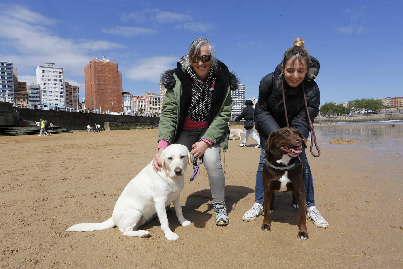 Los perros se despiden de San Lorenzo