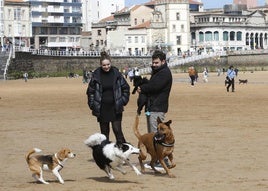 Los perros disfrutaron del último domingo en San Lorenzo antes de la temporada de baños.